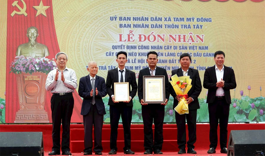 Cây[-]Găng[-]néo[-]đầu[-]tiên[-]được[-]công[-]nhận[-]Cây[-]di[-]sản[-]Việt[-]Nam